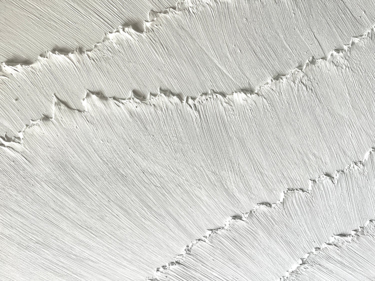 Moth Art