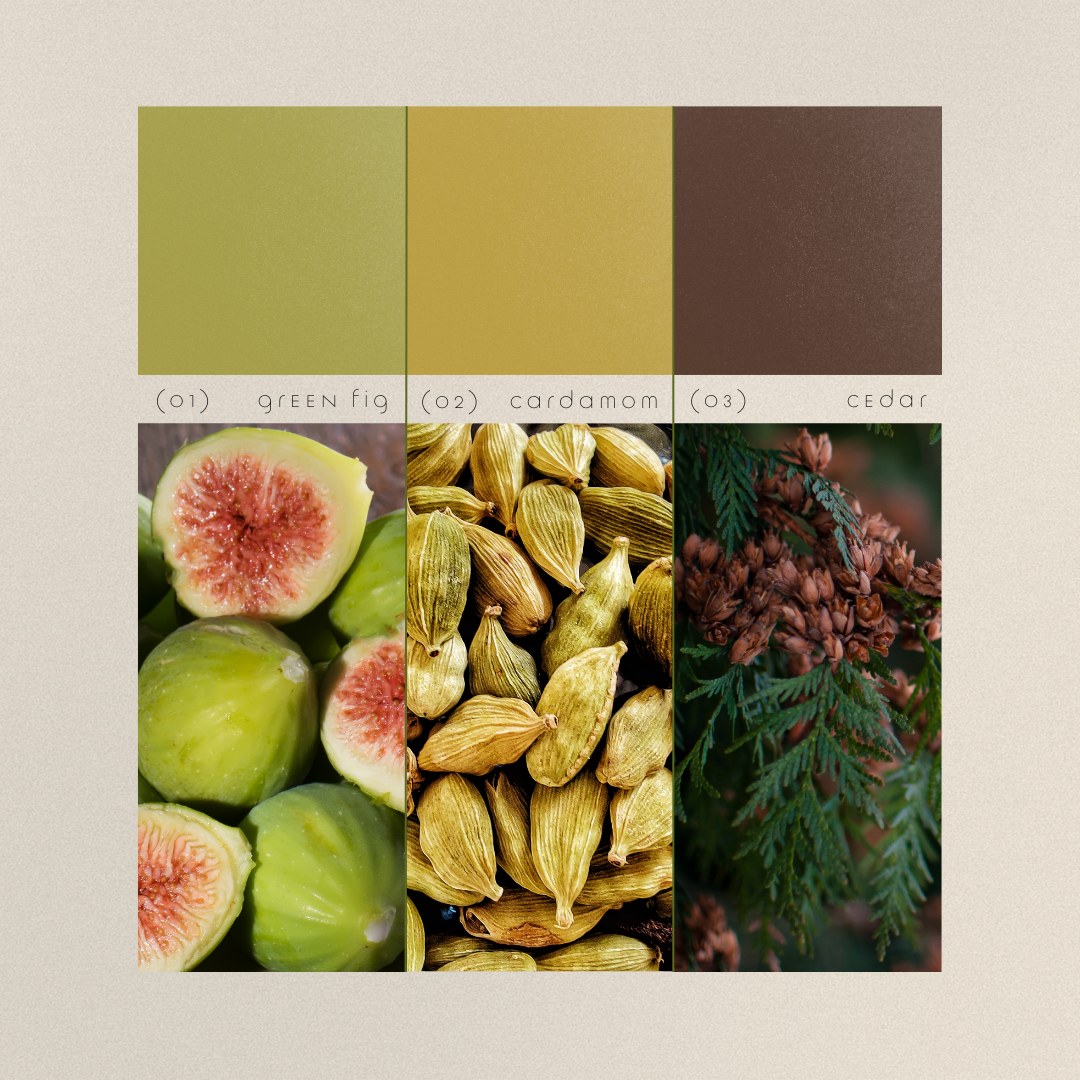 Green Fig + Cardamom Botanical Soy Wax Melts