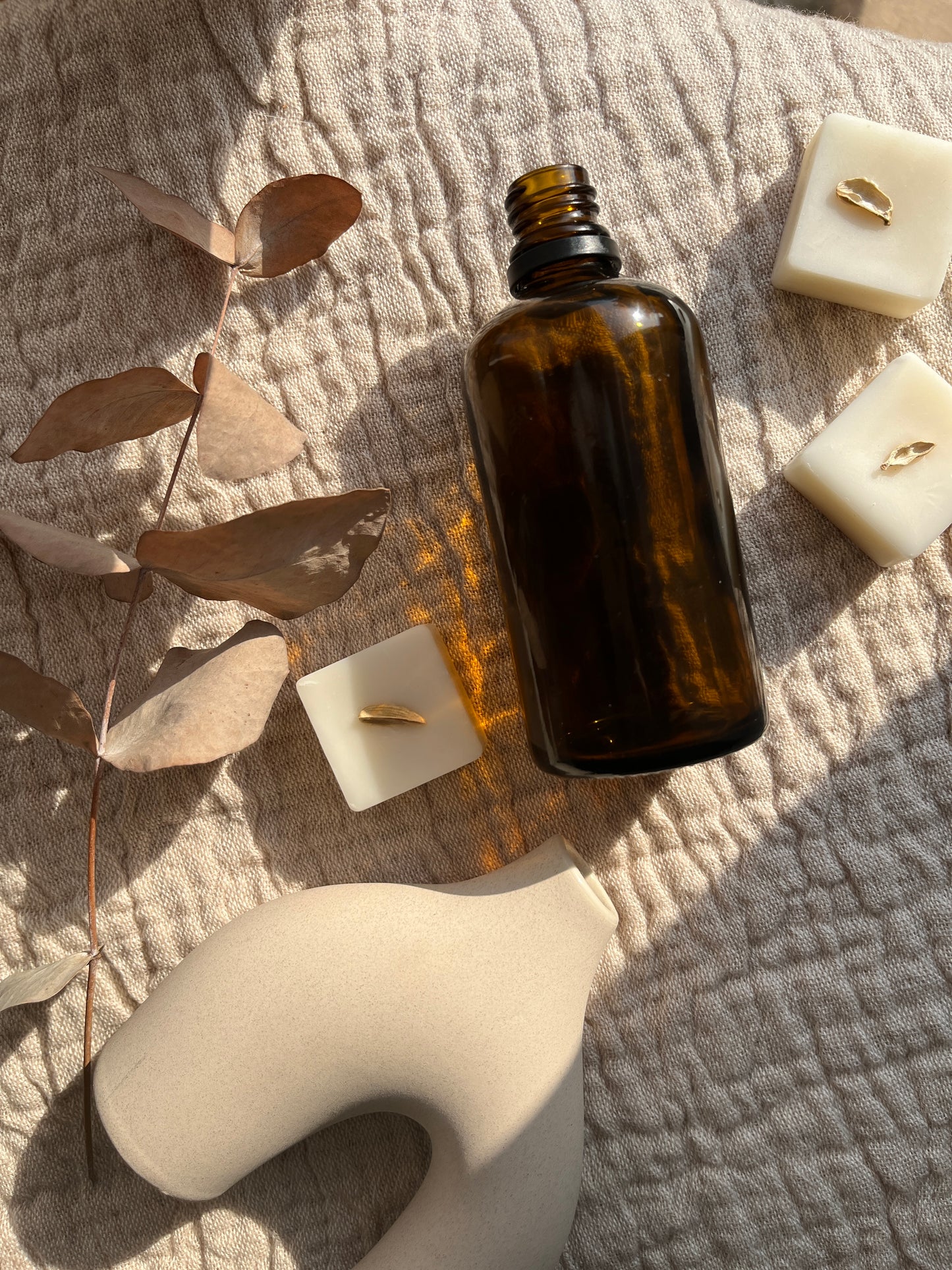 Green Fig + Cardamom Botanical Soy Wax Melts